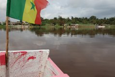 Photographie d'un tour en bateau sur le Lac Rose au Sénégal
