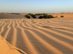 Photographie de dunes de sable au désert de Lompoul au Sénégal