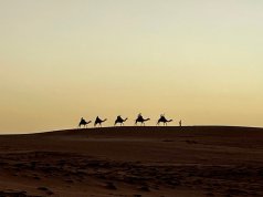 Photographie de paysage au désert de Lompoul