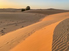 Photographie des dunes du désert de Lompoul au Sénégal